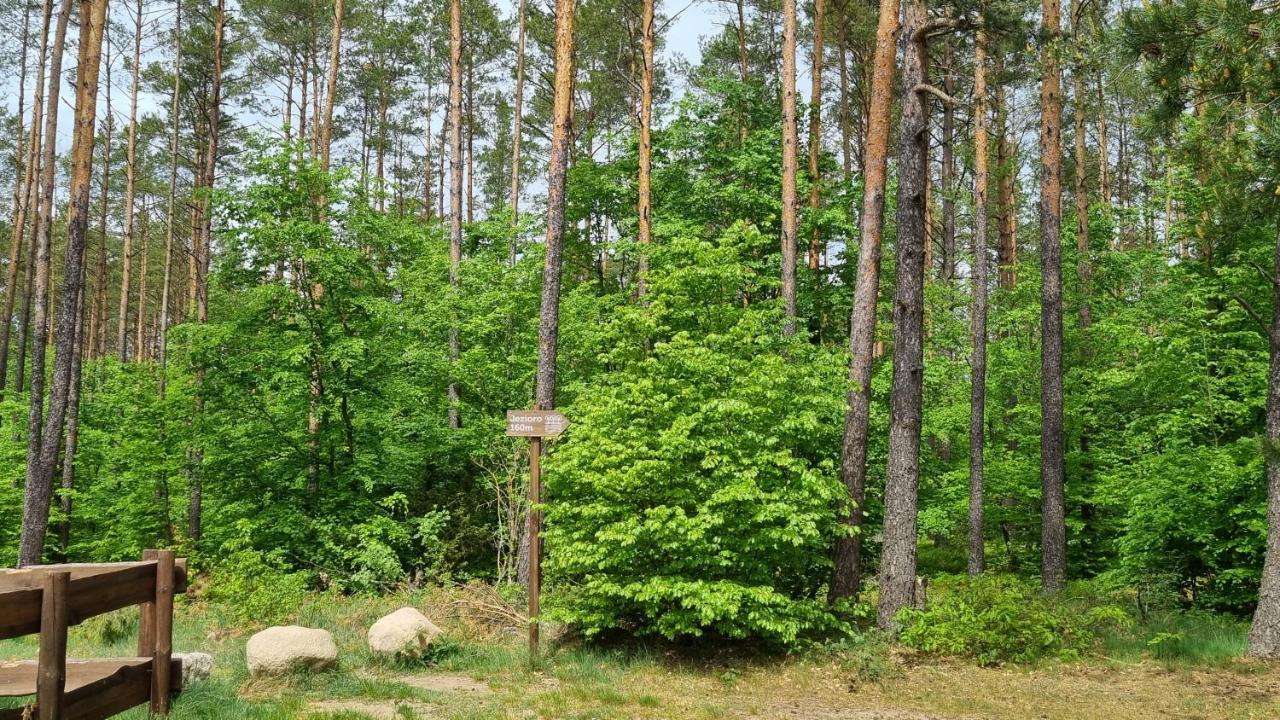 Ptasie Radio, Domek 48.2 Ostoja Bukowo Borowy Mlyn Kültér fotó